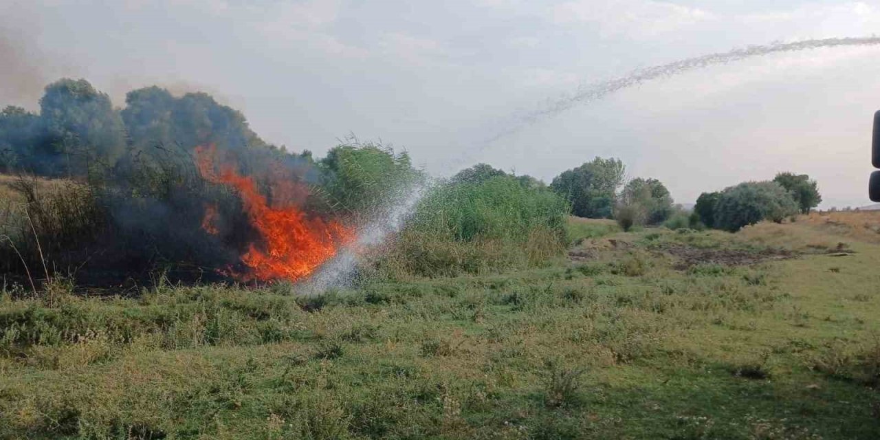 Ağaçlık alanda çıkan yangın itfaiye ekiplerince söndürüldü