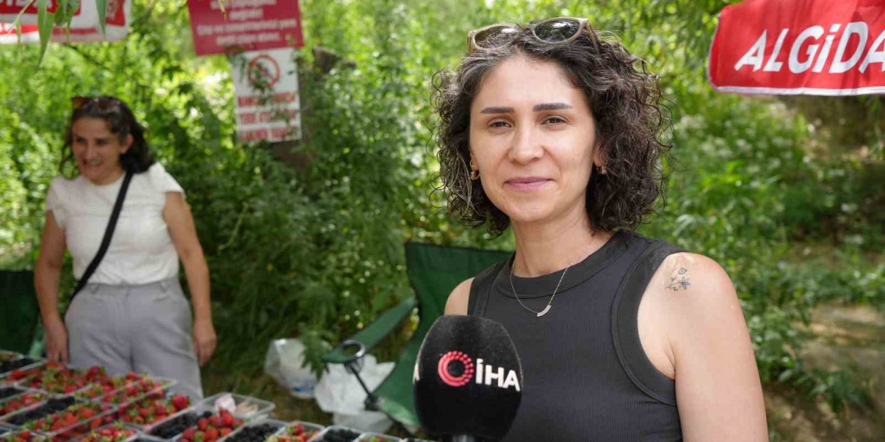 Kavurucu sıcaklarda çilek ve böğürtlen mevsimi