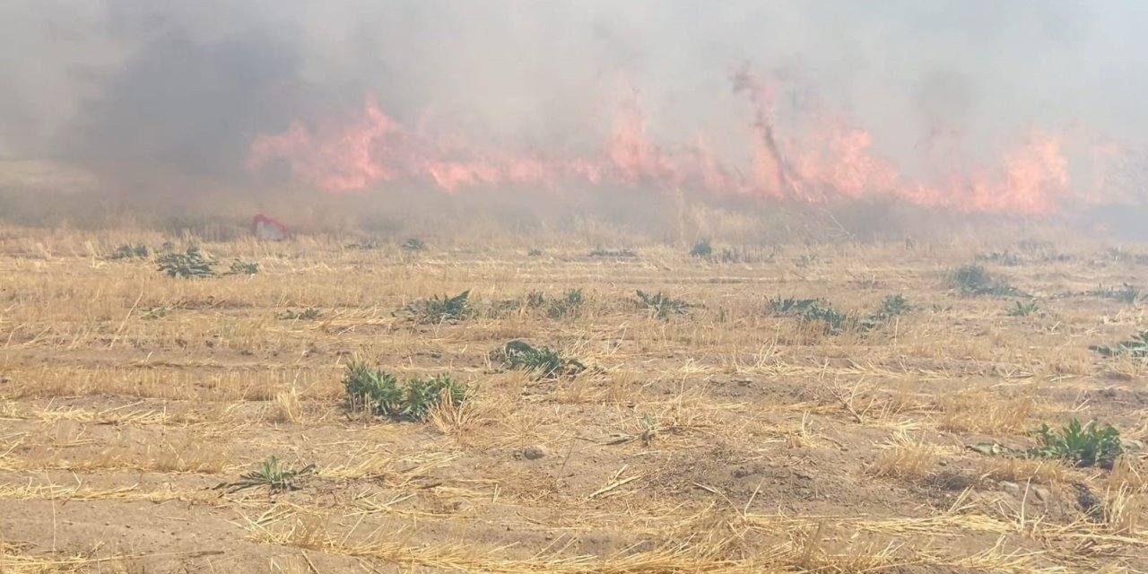 Adilcevaz’da arpa tarlasında yangın