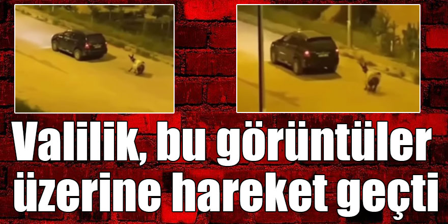 Kars Valiliği, bu görüntüler üzerine hareket geçti