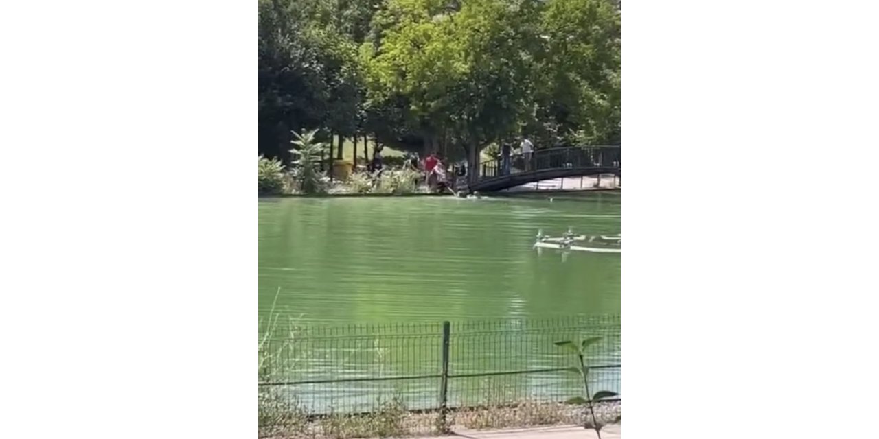 Göletli Park’ta korku dolu anlar: Suya düşen çocuk vatandaşlar tarafından kurtarıldı