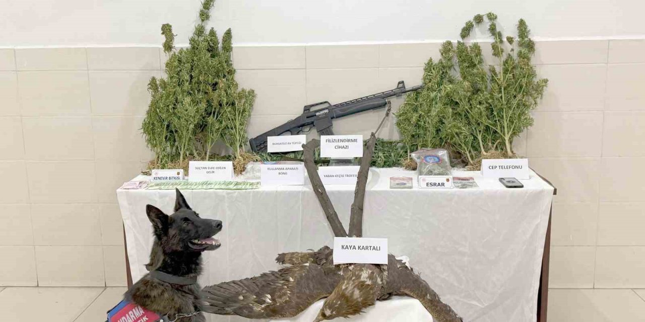 Tunceli’de uyuşturucu operasyonu