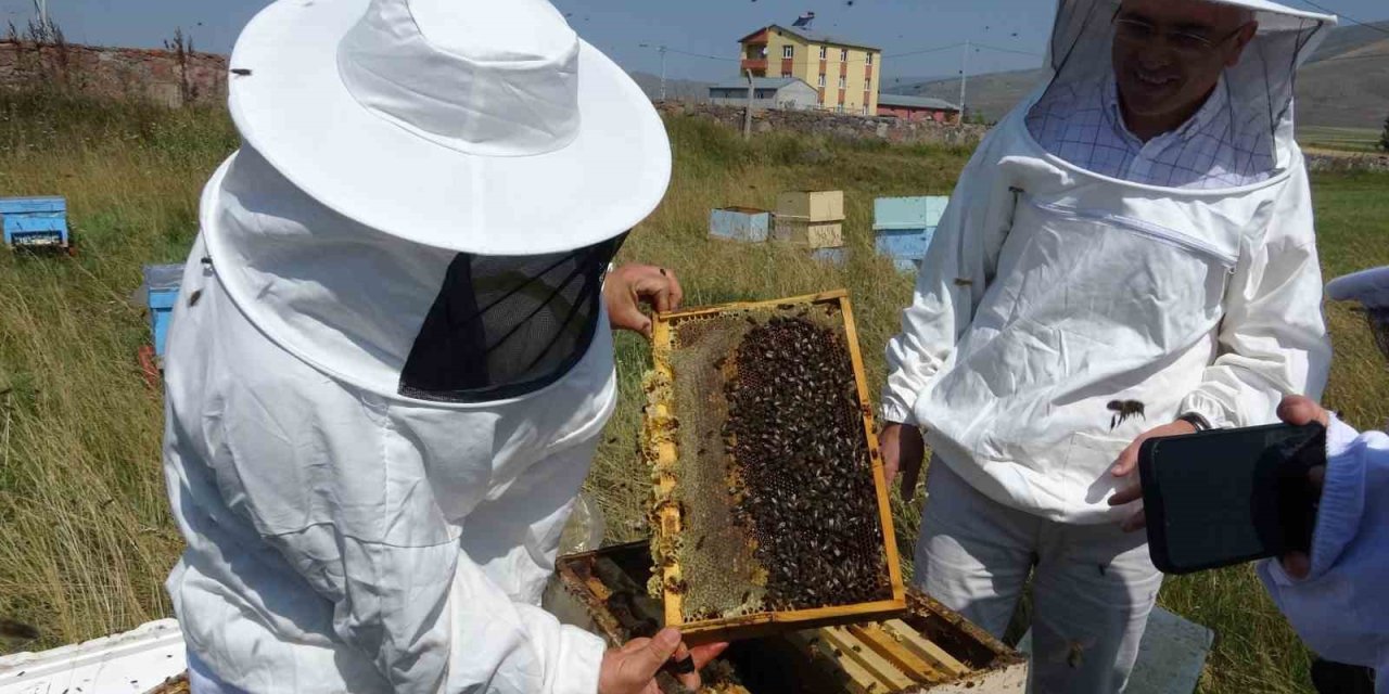 Vali Çiçek, ilk bal sağımını gerçekleştirdi