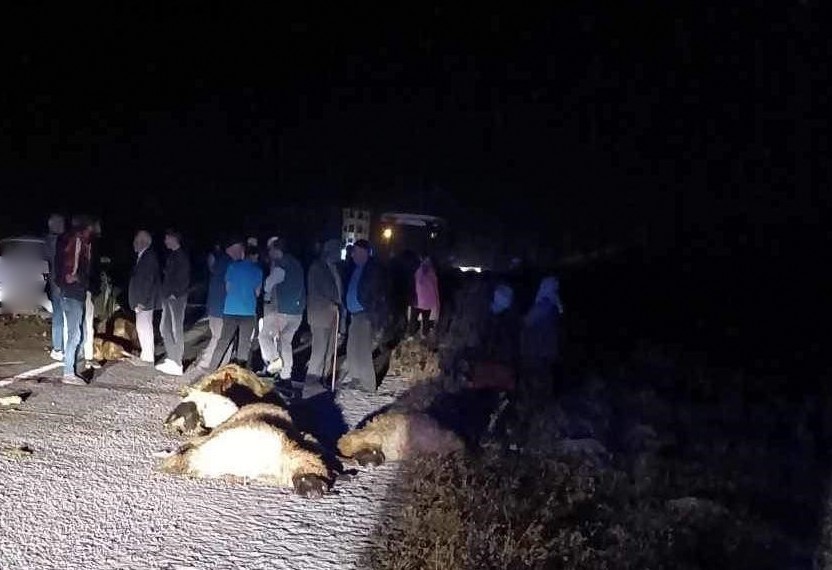 Erzincan’da otomobil koyun sürüsüne daldı