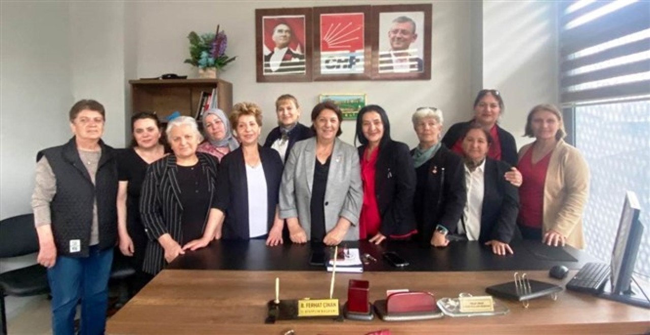 Çelik: "Kadın Cinayetleri Münferit Değil, Politiktir"