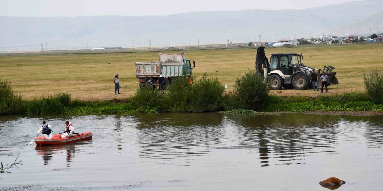 Kura nehrine düşerek boğulan inek can verdi