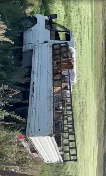 Kovan yüklü kamyonet devrildi, arılar etrafa yayıldı