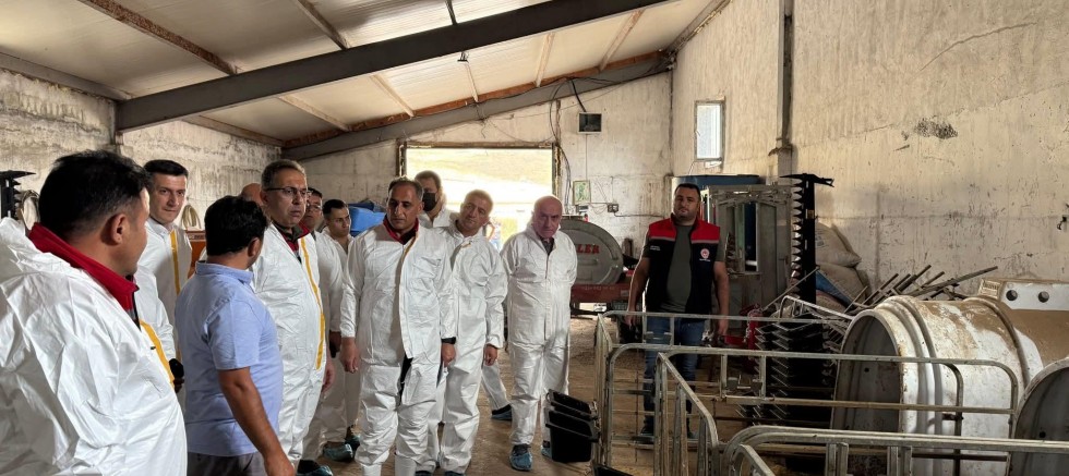 Hayvan Sağlığı ve Şap Hastalığı Çalışmaları Kars’ta Yerinde İncelendi