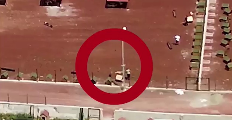 Hayvan barınağındaki dehşete soruşturma