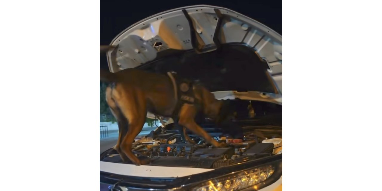 Muş’ta polis ekiplerinden suç ve suçlulara geçit yok