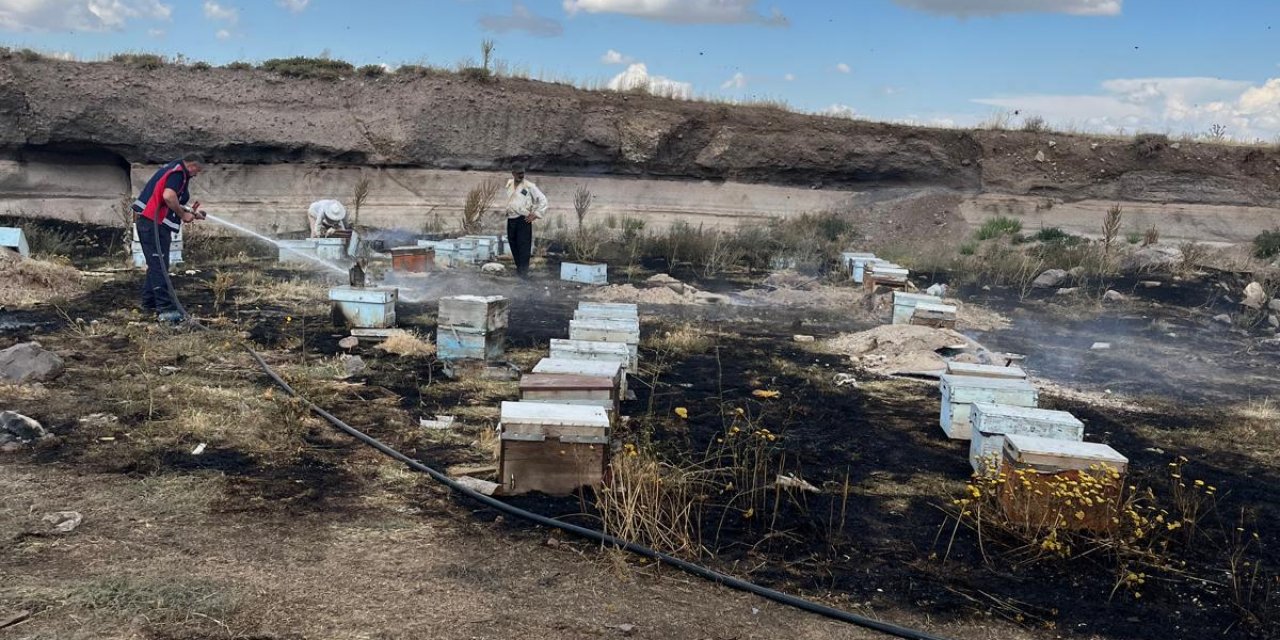 Kars'ta Arı Kovanları Yandı