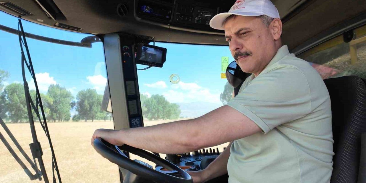 Tarım Lisesi’nde buğday hasadı