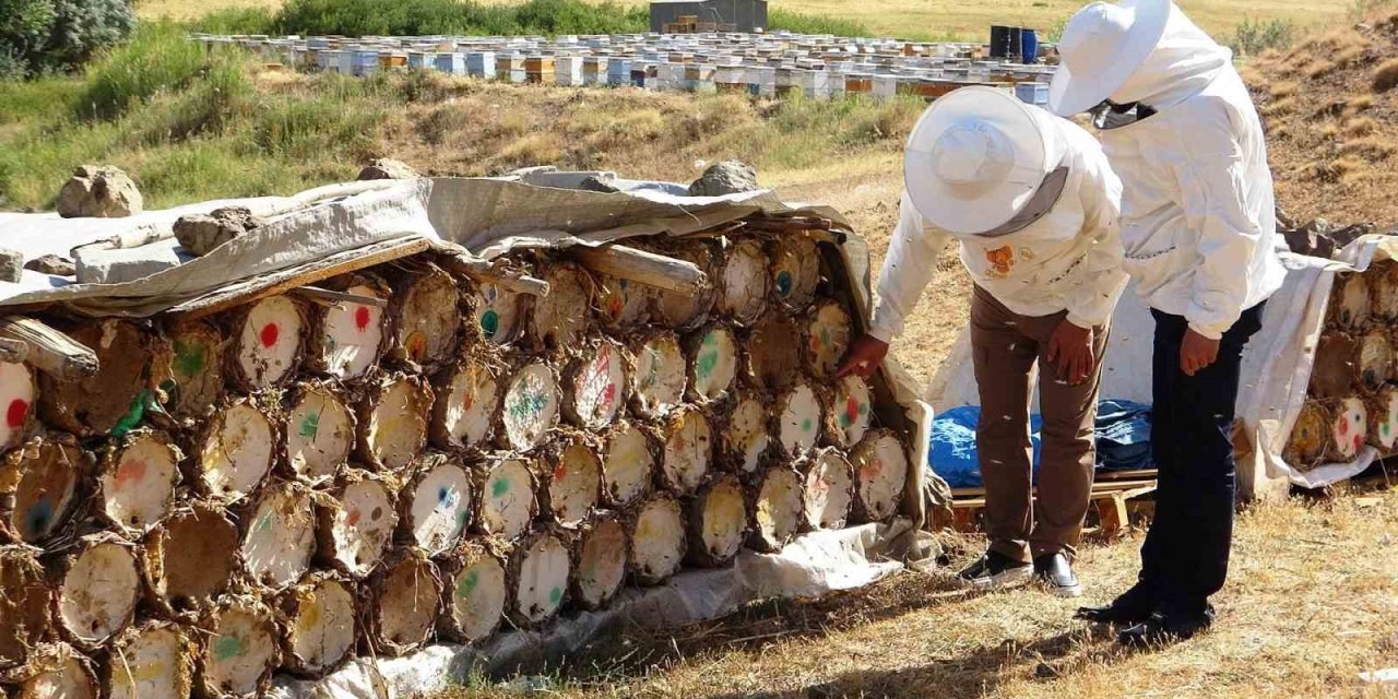Küresel ısınma arıcıları tedirgin ediyor