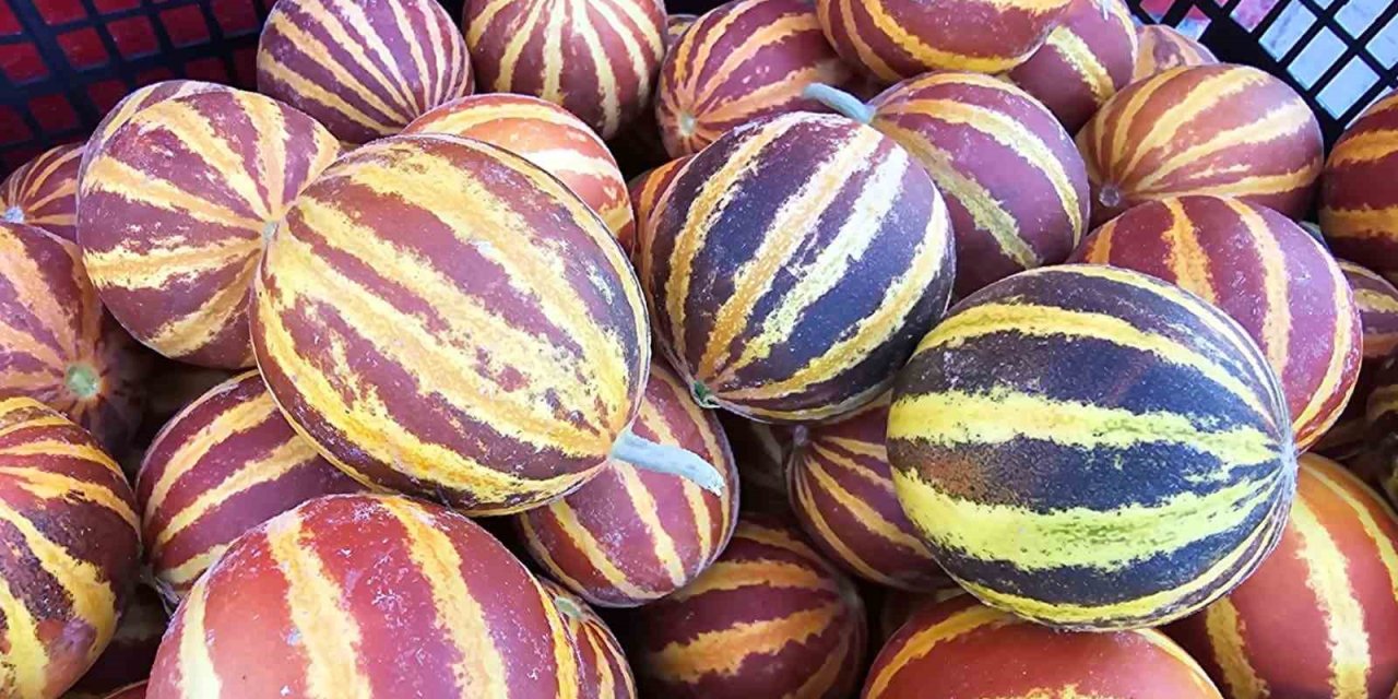 Elazığ’da şamama kavunu tezgahlarda