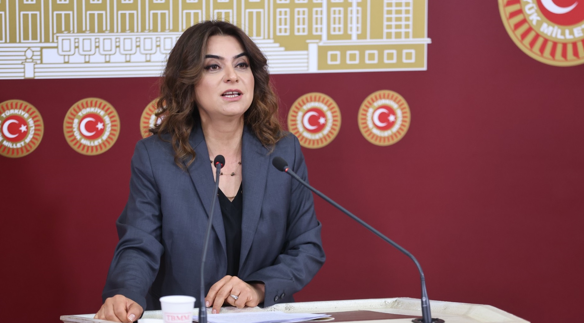 Milletvekili Koçyiğit, Kars’ta köpeklere uygulanan şiddeti TBMM gündemine taşıdı