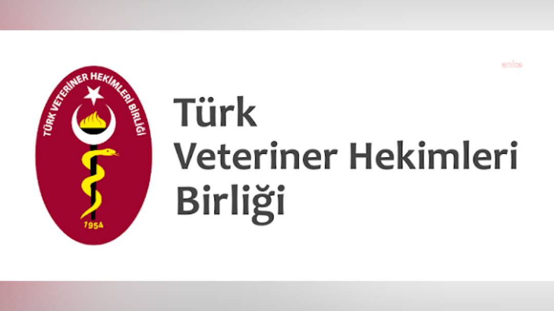 Türk Veteriner Hekimleri Birliği köpek şiddetini kınadı