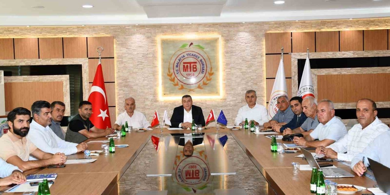 Malatya’da kuru kayısı lisanslı deposu ve borsası için istişare toplantısı