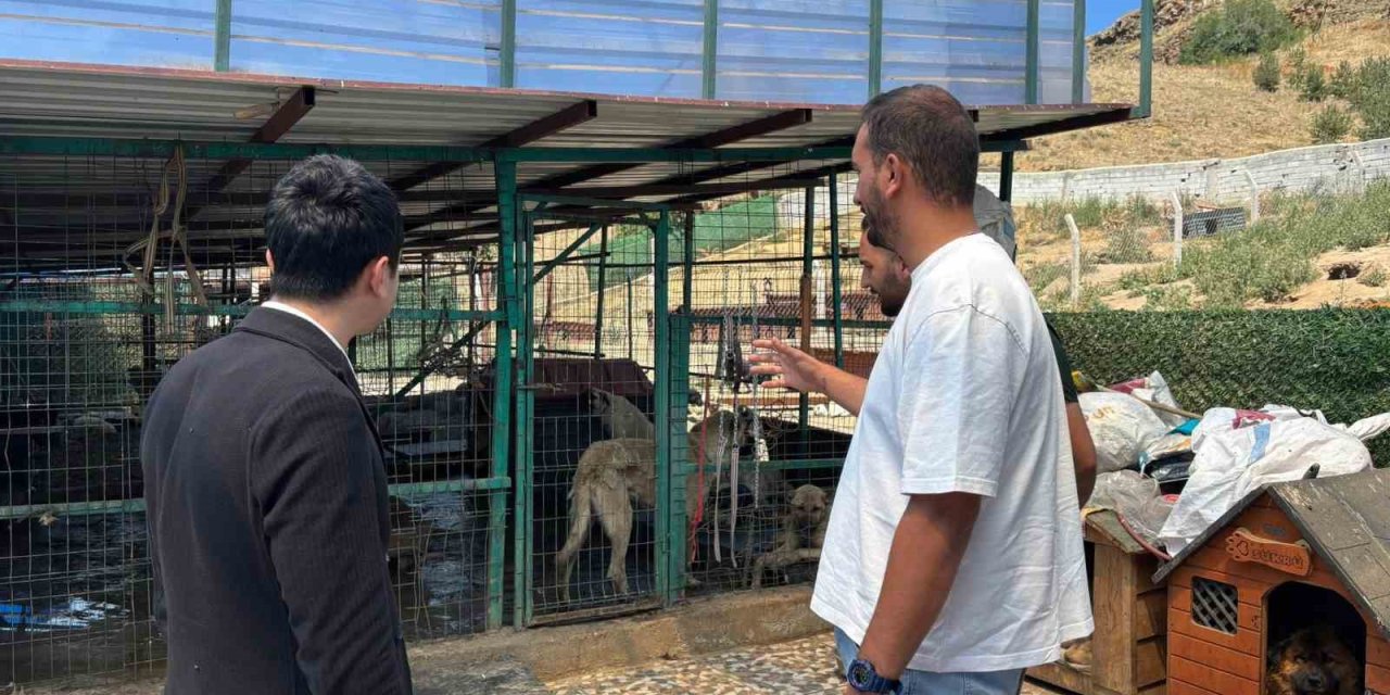 Kaymakam Tutal, Hayvan Barınağı’nda incelemelerde bulundu