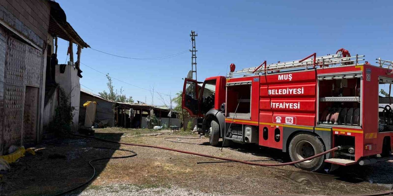 Muş’ta ev ve samanlık yangını