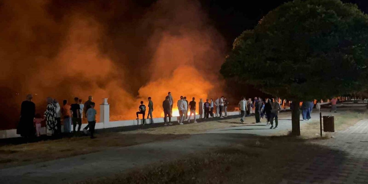 Erciş’te anız yangını