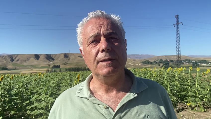 Doğu’da ayçiçeği ve mısır üretimi artıyor