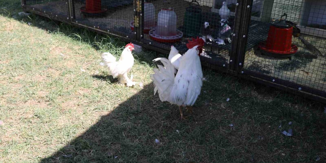 Engelsiz Yaşam Merkezi’nden yeni rehabilitasyon uygulaması