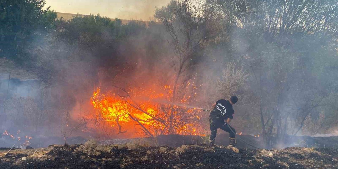 Malatya’da anız yangınında 50 dönümlük arazi zarar gördü