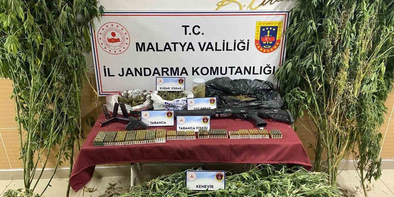 jandarmadan uyuşturucu operasyonu: 1 gözaltı