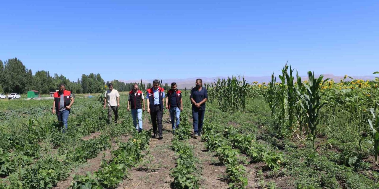 Ağrı’da hibeli sebze fidesi desteği denetimleri sürüyor
