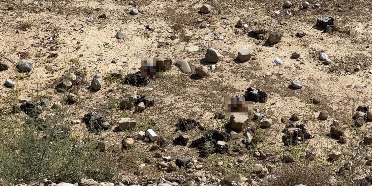 Yüksekova’da mezarlık yanına bırakılan bira şişeleri tepki topladı