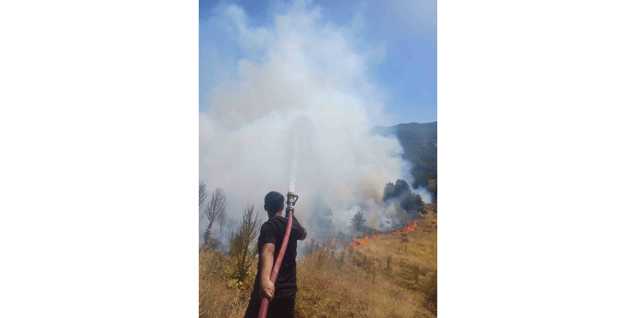 Bingöl’de kırsal alanda çıkan yangın söndürüldü