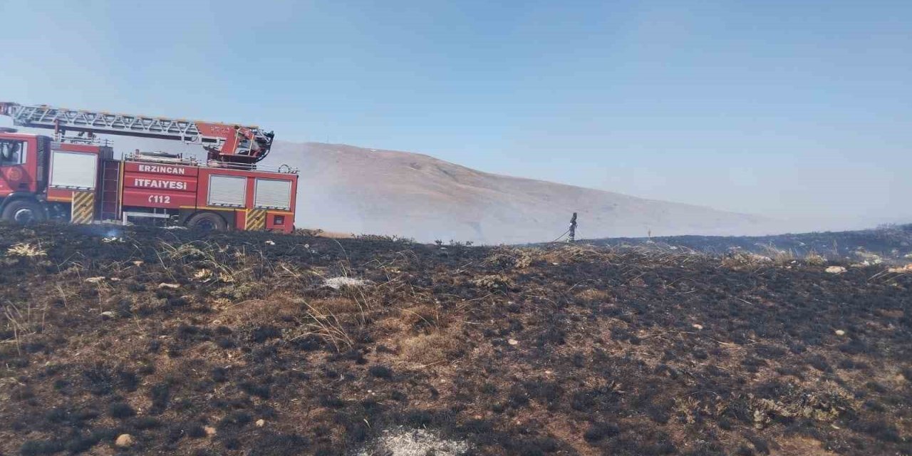 Ahmediye Geçidinde örtü yangını söndürüldü