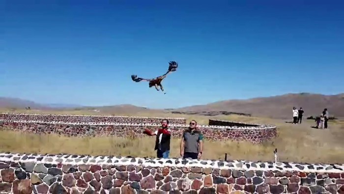 Kızıl Şahin doğal yaşamına bırakıldı