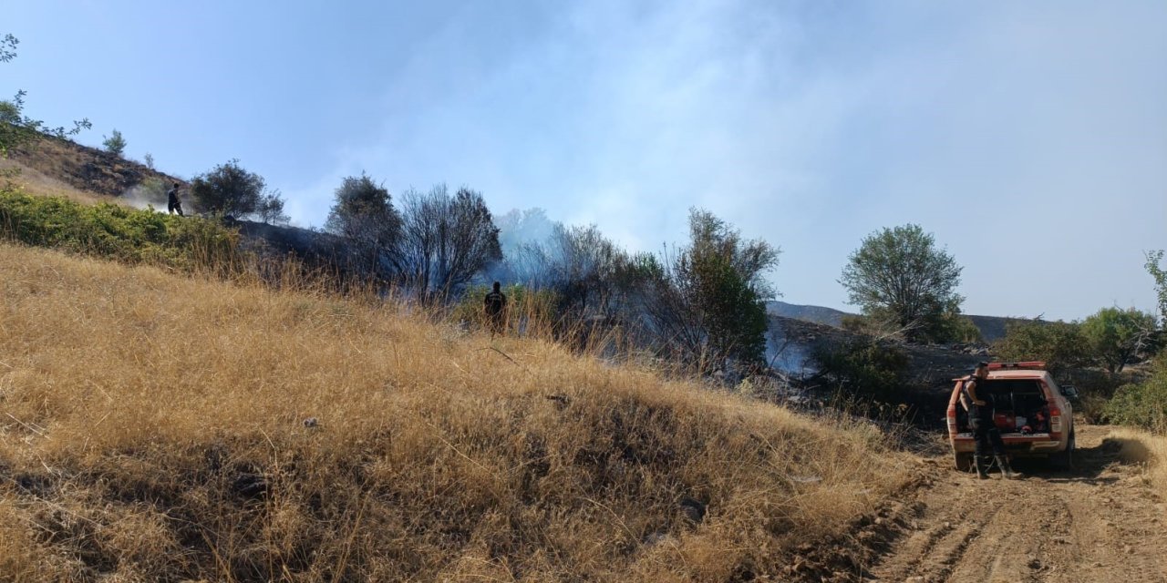 Malatya’daki orman yangını kontrol altına alındı