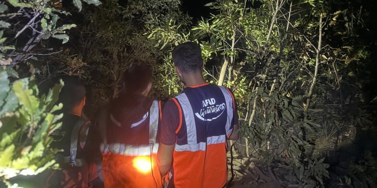 Hakkari’de orman yangını