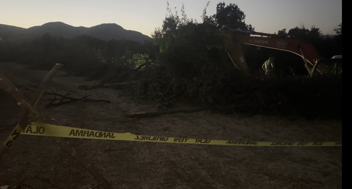 Kanal çalışması sırasında devrilen ağacın altında kalan kişi öldü