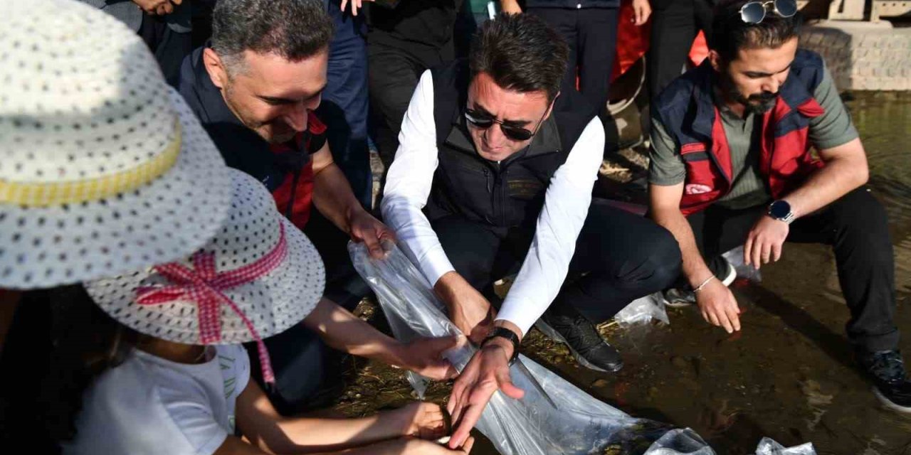 Tunceli’de 850 bin adet balık suyla buluşturuldu