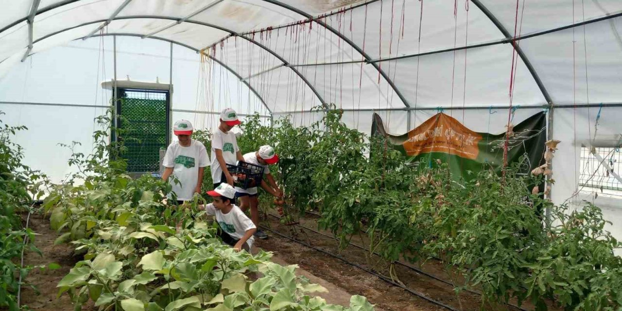 Önce öğrenip üretiyorlar, sonra yiyorlar