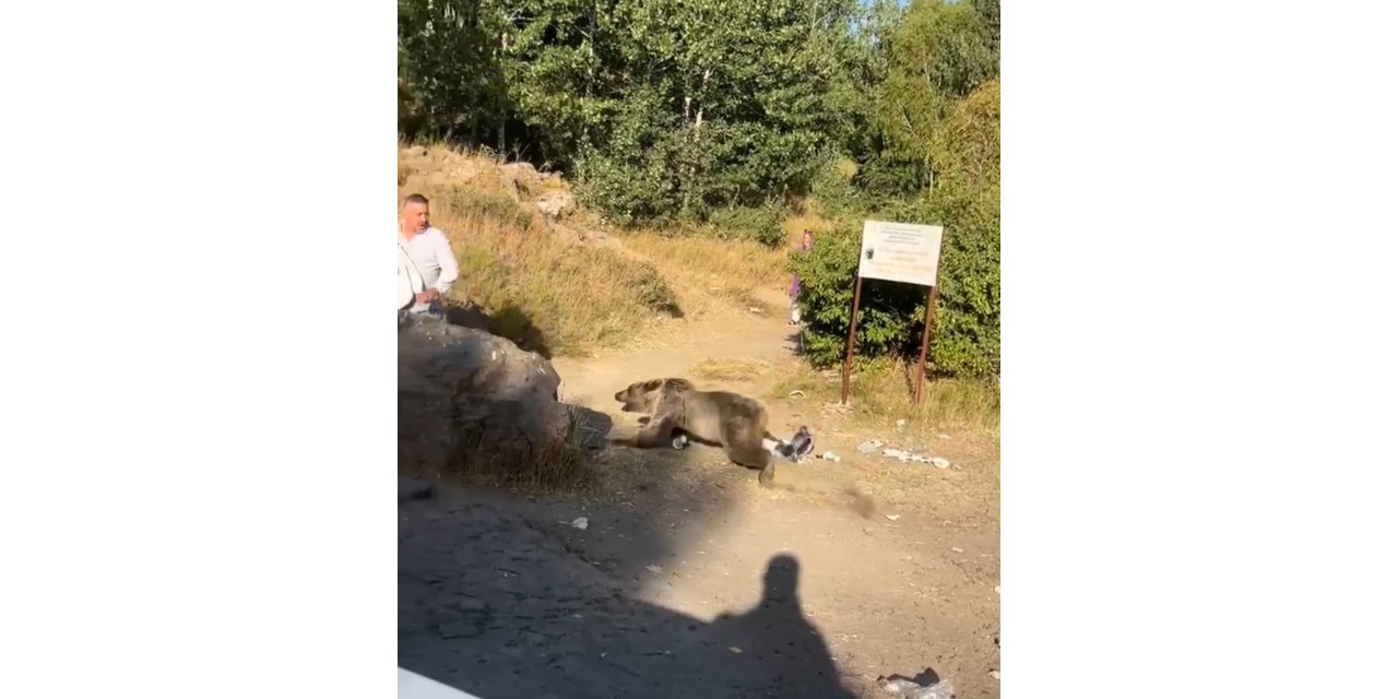 Kucağında bebekle ayı saldırısına uğradı