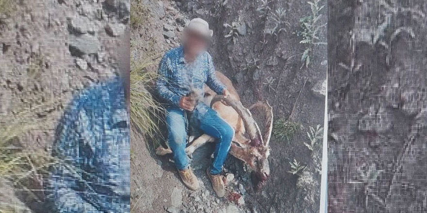 Kağızman’da yaban keçisi avlayan kişiye 658 bin TL ceza