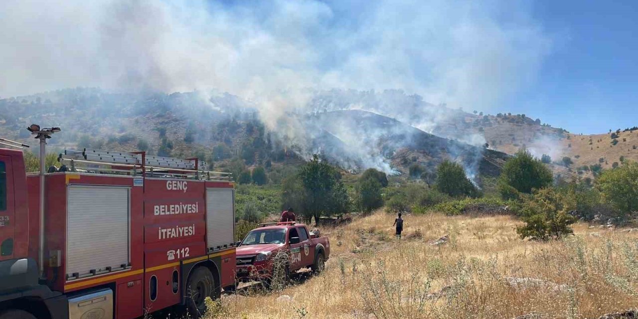Bingöl’de köyde çıkan yangın ormana sıçradı, müdahale sürüyor