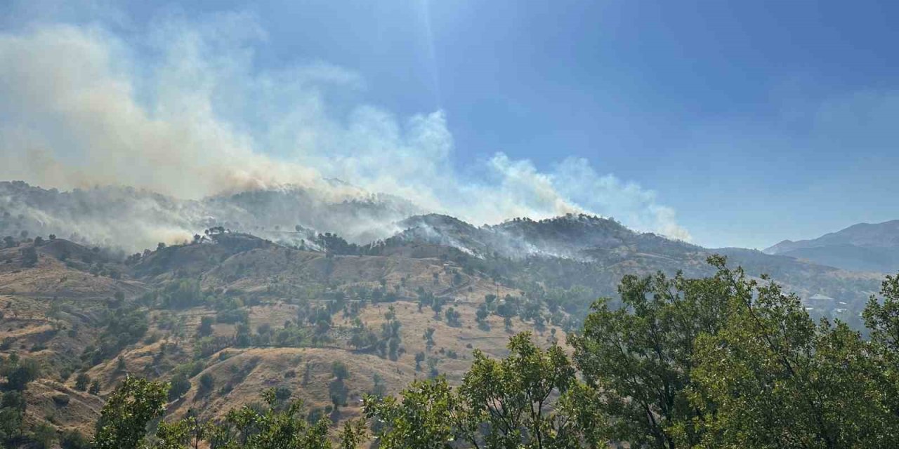 Bingöl’deki orman yangını kontrol altına alındı