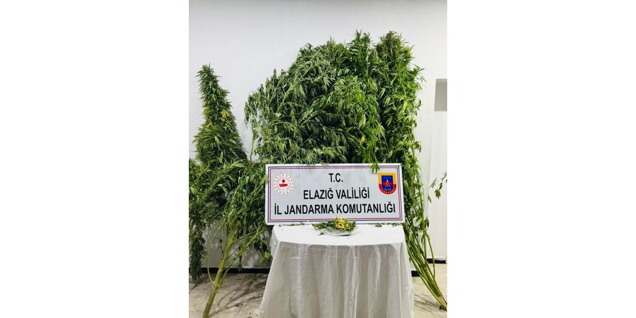 Elazığ’da uyuşturucuyla mücadele