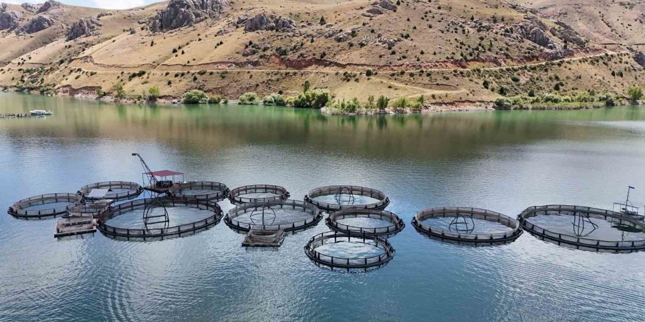 Denizi yok balıkçılıkta iddialı il