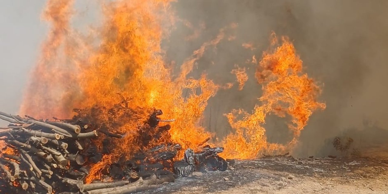 Malatya’nın Doğanyol ilçesinde orman yangını