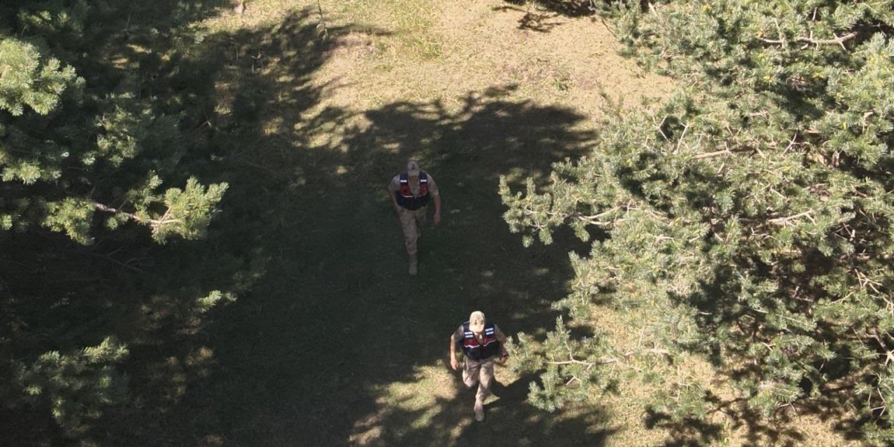 Ardahan’da jandarma ekipleri ormanlık alanlarda denetimlerini sıklaştırdı