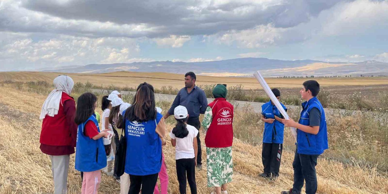 Diyadin’de gençler hasat sevincine ortak oldu