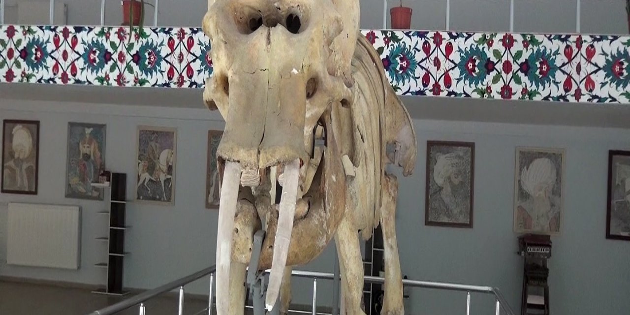 Kemaliye’deki müzede bulunan objeler arşivlendi