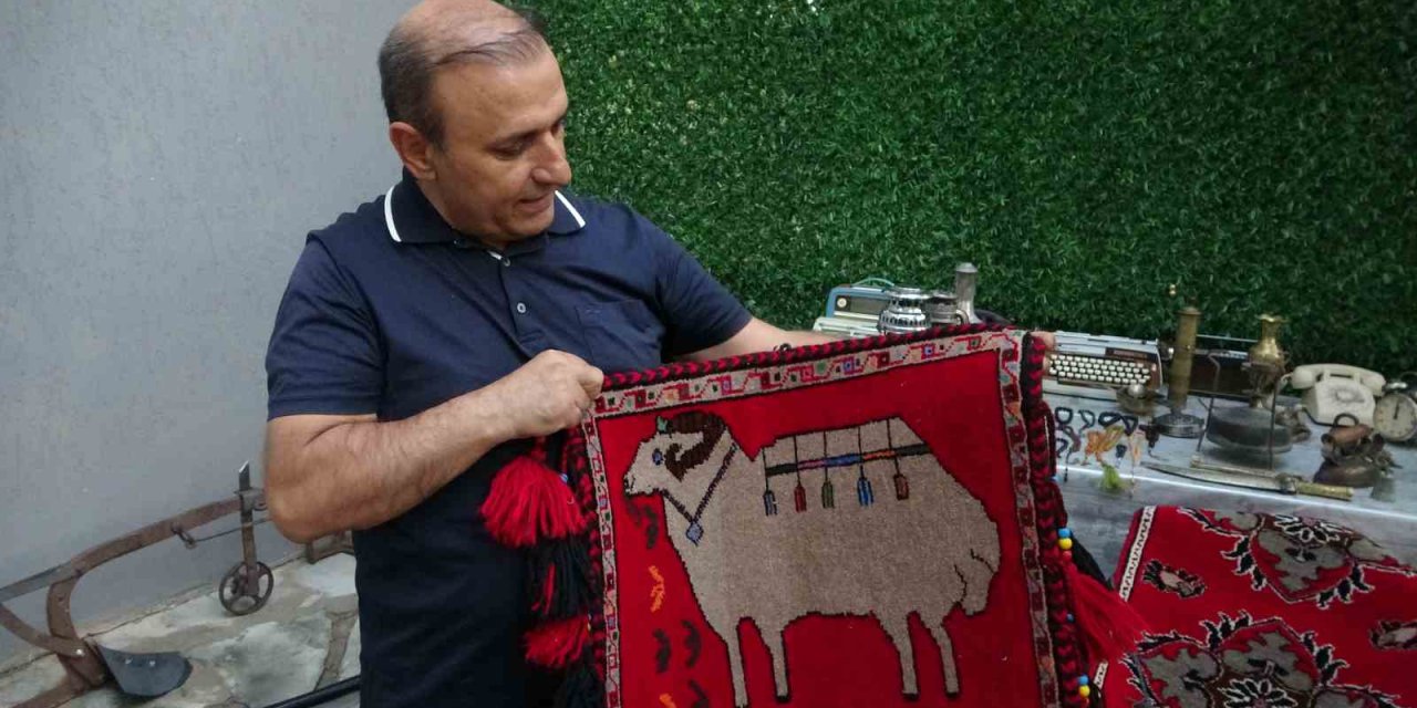 Antika tutkusu koleksiyona dönüştü