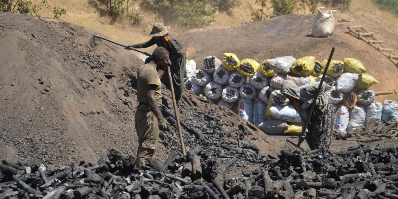 Muş’ta mevsimlik işçilerin zorlu mangal kömürü mesaisi